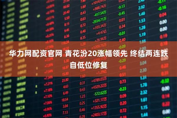 华力网配资官网 青花汾20涨幅领先 终结两连跌自低位修复