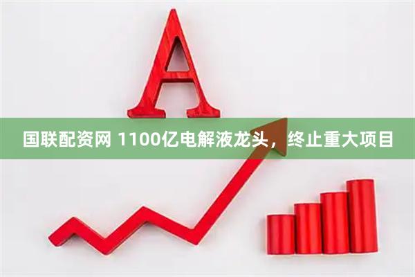 国联配资网 1100亿电解液龙头，终止重大项目