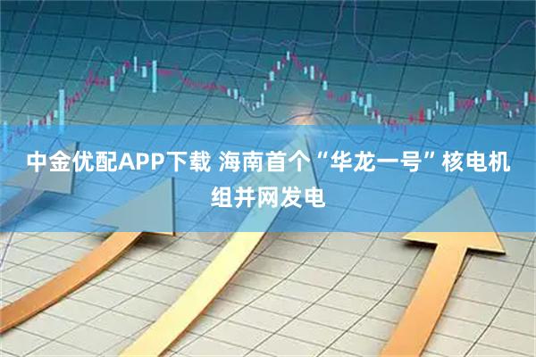 中金优配APP下载 海南首个“华龙一号”核电机组并网发电